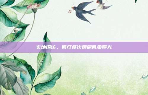 实地探访,网红餐饮后厨乱象曝光