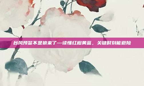 台风预警不是狼来了—读懂红橙黄蓝,关键时刻能避险