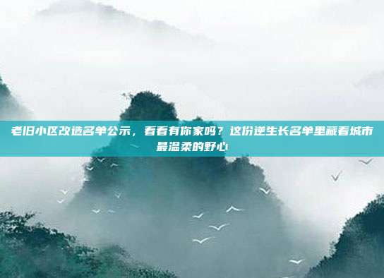 老旧小区改造名单公示,看看有你家吗?这份逆生长名单里藏着城市最温柔的野心