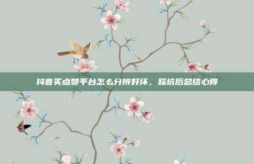 抖音买点赞平台怎么分辨好坏,踩坑后总结心得