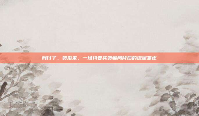 钱付了,赞没来,一场抖音买赞骗局背后的流量焦虑