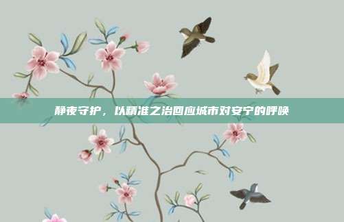 静夜守护,以精准之治回应城市对安宁的呼唤