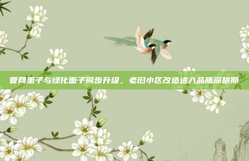 管网里子与绿化面子同步升级,老旧小区改造进入品质深耕期