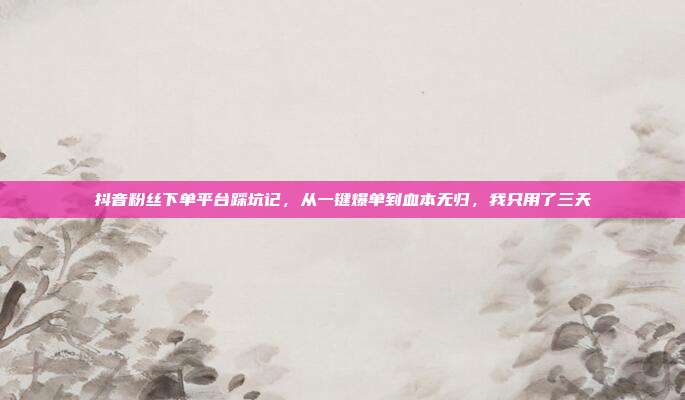 抖音粉丝下单平台踩坑记，从一键爆单到血本无归，我只用了三天