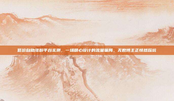 低价自助涨粉平台实测,一场精心设计的流量骗局,无数博主正悄然踩坑