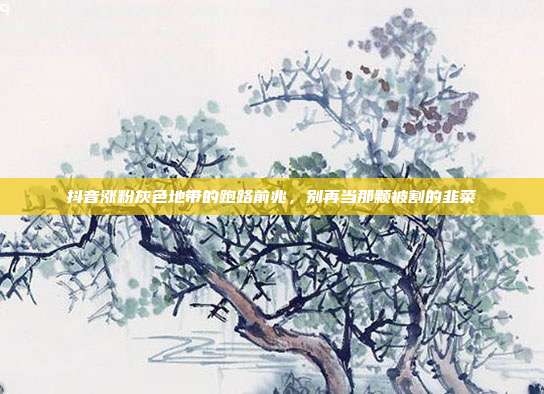 抖音涨粉灰色地带的跑路前兆，别再当那颗被割的韭菜