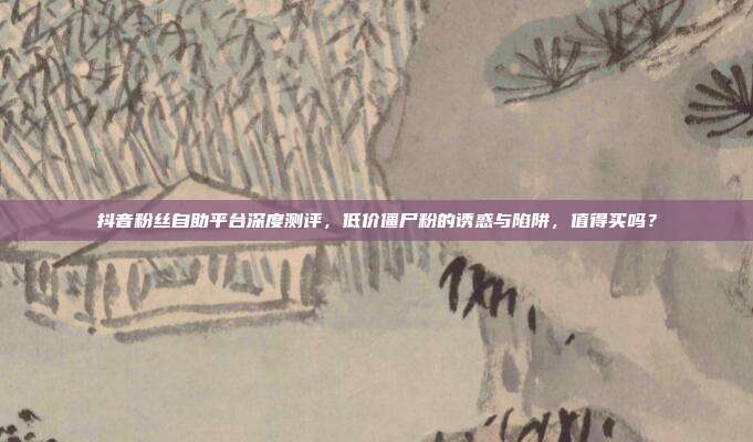 抖音粉丝自助平台深度测评,低价僵尸粉的诱惑与陷阱,值得买吗?