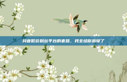 抖音低价粉丝平台的套路,我全给你拆穿了