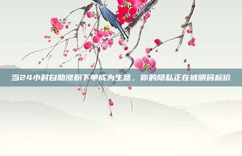 当24小时自助涨粉下单成为生意,你的隐私正在被明码标价