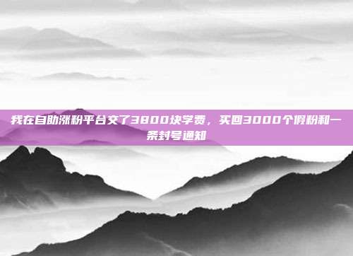 我在自助涨粉平台交了3800块学费,买回3000个假粉和一条封号通知