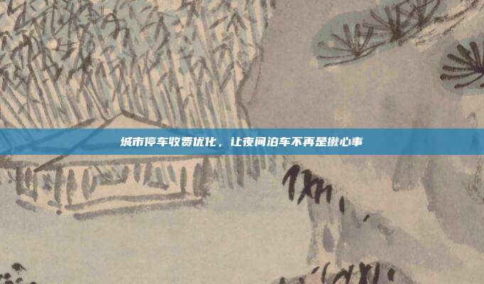 城市停车收费优化,让夜间泊车不再是揪心事
