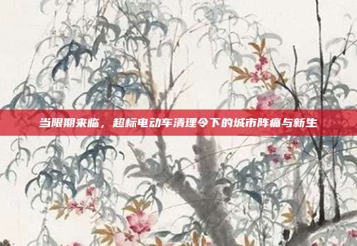 当限期来临，超标电动车清理令下的城市阵痛与新生