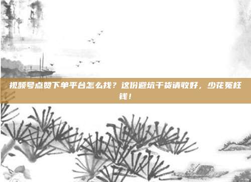 视频号点赞下单平台怎么找?这份避坑干货请收好,少花冤枉钱!