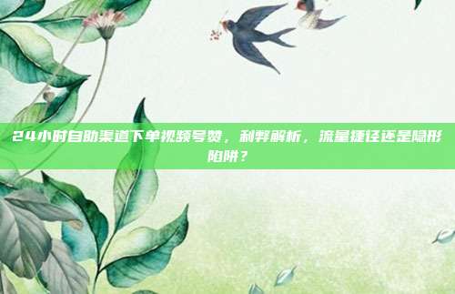 24小时自助渠道下单视频号赞,利弊解析,流量捷径还是隐形陷阱?