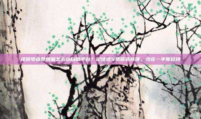 视频号点赞增量怎么选自助平台?记住这5条筛选铁律,少花一半冤枉钱