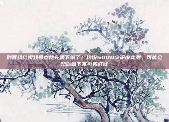 别再纠结视频号点赞在哪下单了!这份5000字深度实测,可能会帮你省下不少冤枉钱