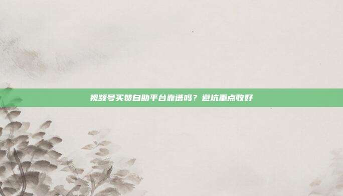 视频号买赞自助平台靠谱吗?避坑重点收好