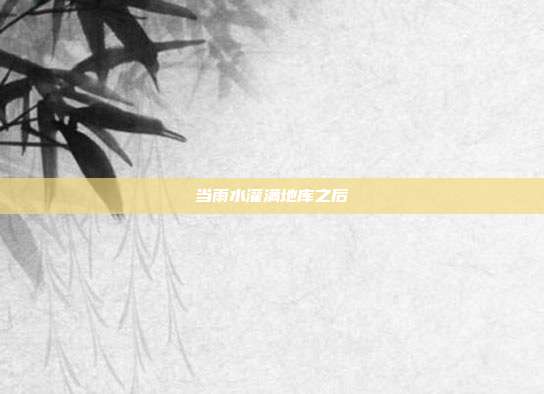 当雨水灌满地库之后