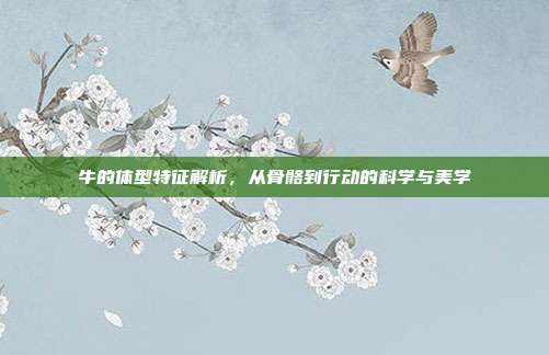 牛的体型特征解析，从骨骼到行动的科学与美学