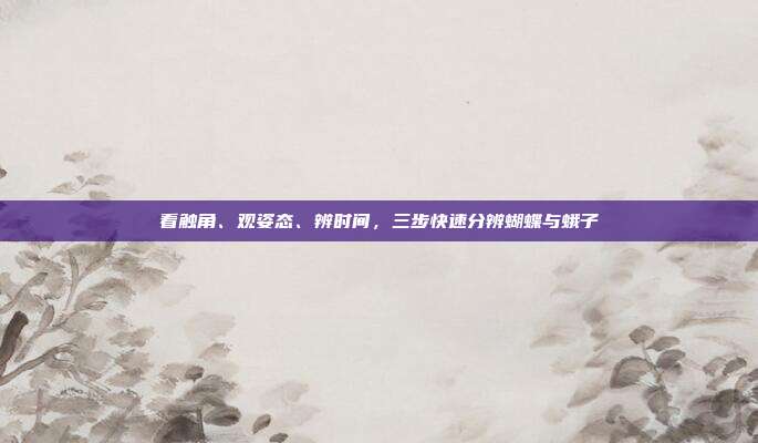 看触角、观姿态、辨时间，三步快速分辨蝴蝶与蛾子