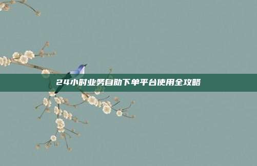 24小时业务自助下单平台使用全攻略
