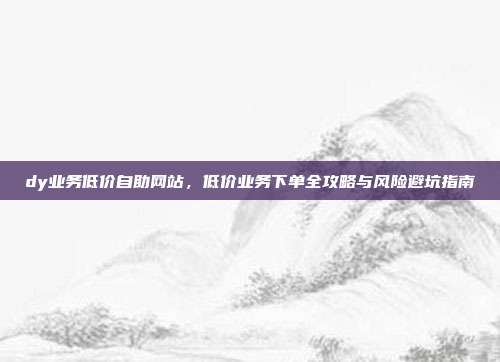 dy业务低价自助网站，低价业务下单全攻略与风险避坑指南