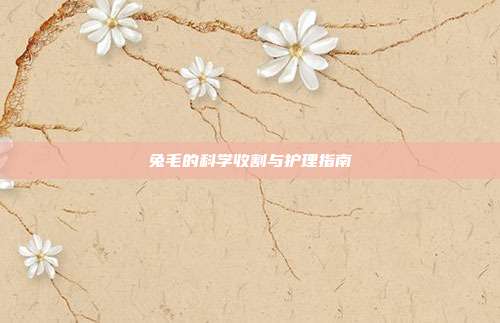 兔毛的科学收割与护理指南