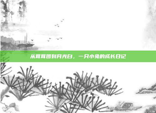 从茸茸团到月光白,一只小兔的成长日记