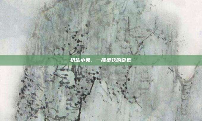 初生小兔,一捧柔软的奇迹