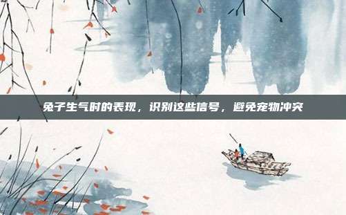 兔子生气时的表现，识别这些信号，避免宠物冲突