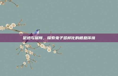 足迹与居所，探索兔子多样化的栖息环境