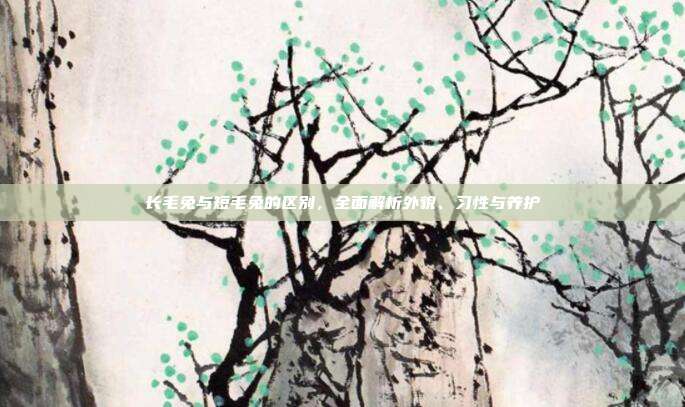 长毛兔与短毛兔的区别，全面解析外貌、习性与养护