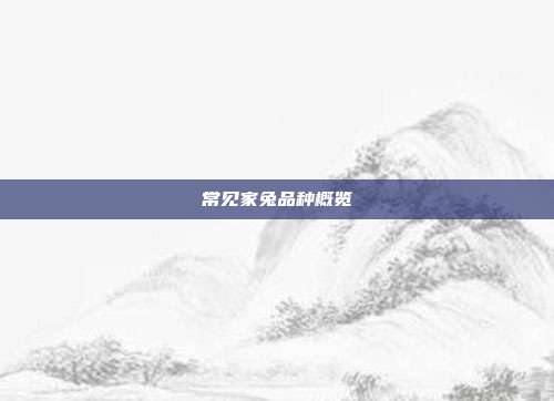 常见家兔品种概览