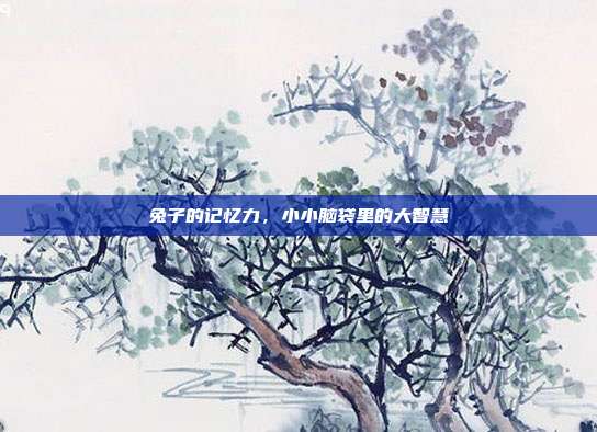 兔子的记忆力，小小脑袋里的大智慧