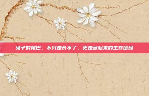 兔子的尾巴，不只是长不了，更是藏起来的生存密码