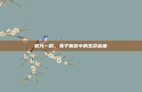 微光一瞬，兔子寓言中的生命密度