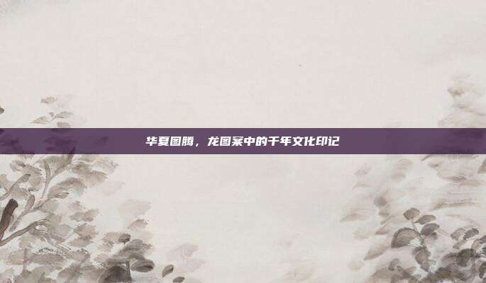 华夏图腾，龙图案中的千年文化印记