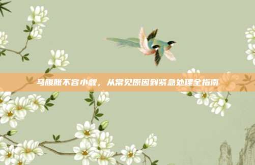 马腹胀不容小觑，从常见原因到紧急处理全指南