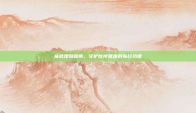 从梳理到蹄铁,守护伙伴健康的每日功课