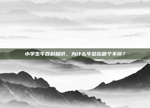 小学生牛百科知识,为什么牛总在嚼个不停?