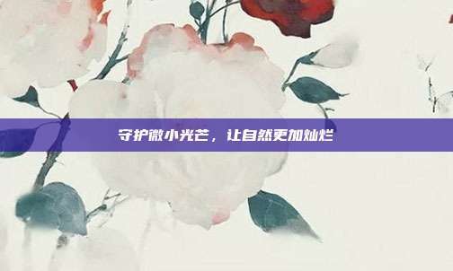 守护微小光芒，让自然更加灿烂