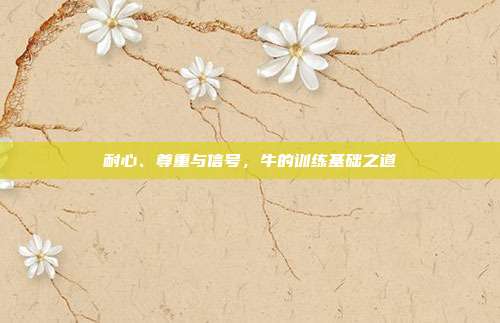 耐心、尊重与信号，牛的训练基础之道