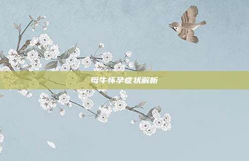 母牛怀孕症状解析