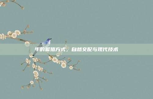 牛的繁殖方式,自然交配与现代技术