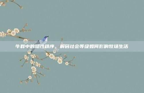 牛群中的隐性秩序,解码社会等级如何影响牧场生活