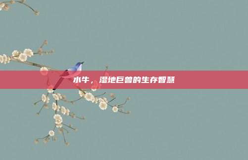 水牛，湿地巨兽的生存智慧