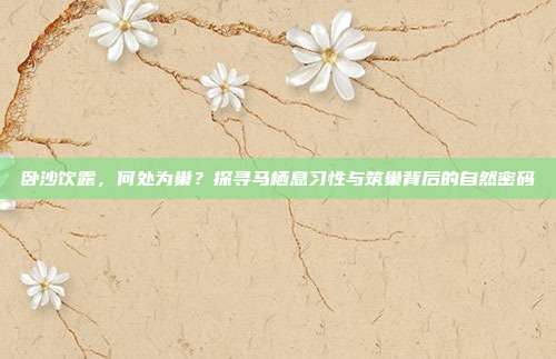 卧沙饮露,何处为巢?探寻马栖息习性与筑巢背后的自然密码