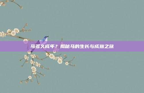 马多久成年?揭秘马的生长与成熟之旅