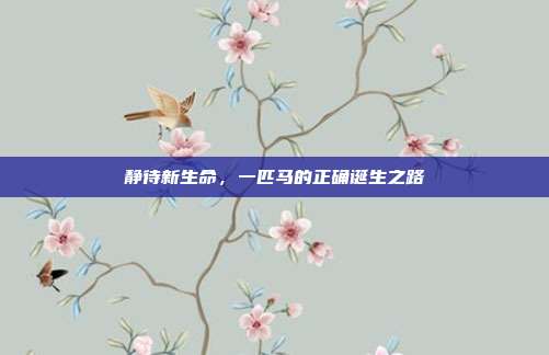 静待新生命,一匹马的正确诞生之路
