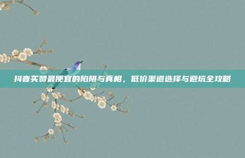 抖音买赞最便宜的陷阱与真相,低价渠道选择与避坑全攻略
